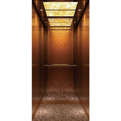 Top Quality OTSTEC Brand Hot Sale Small Elevators For Homes Villa